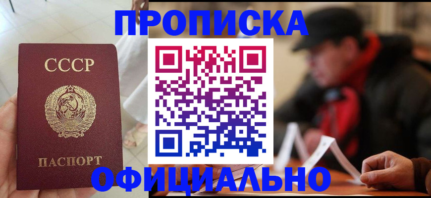 временная регистрация для школы в Зее